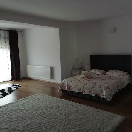 Apartmán Adelina Schitu Exteriér fotografie